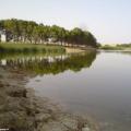 lac